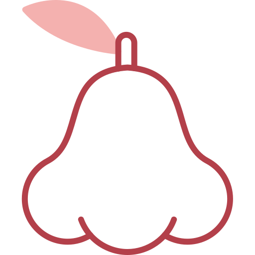 ジャワリンゴ Generic color outline icon