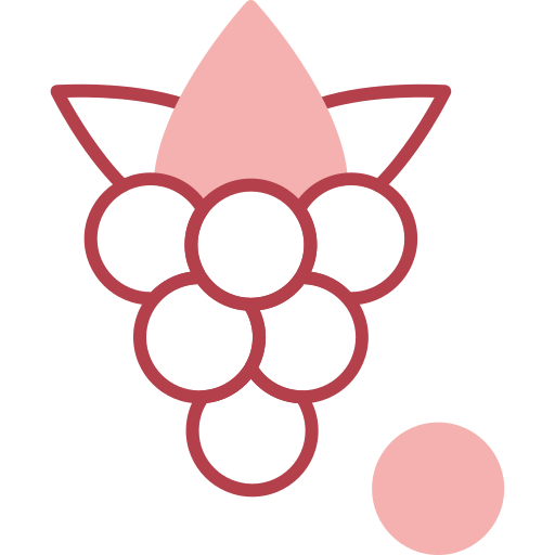 boysenbeere Generic color outline icon