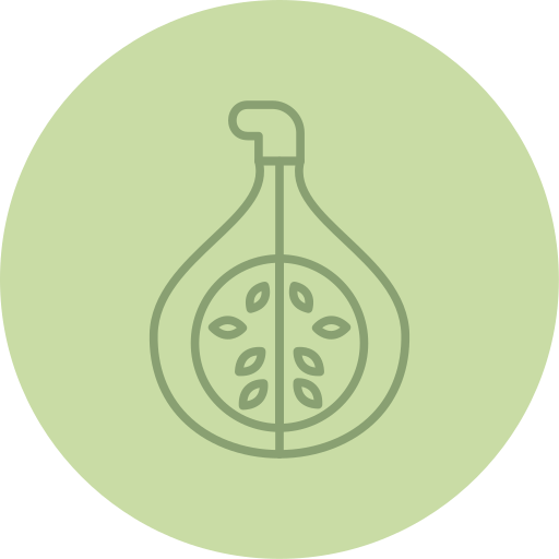 Fig Generic color fill icon