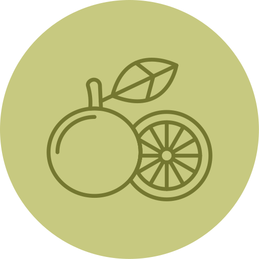 grapefruit Generic color fill icon