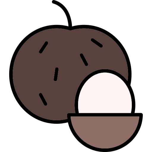 longan Generic color lineal-color icon