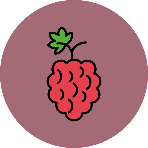 Raspberries Generic color lineal-color icon