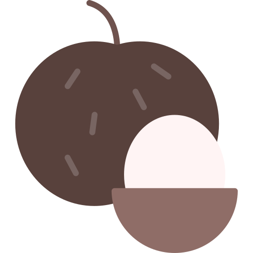 longan Generic color fill icon