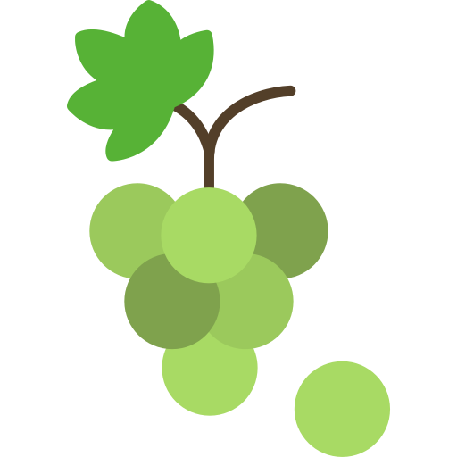 Grapes Generic color fill icon
