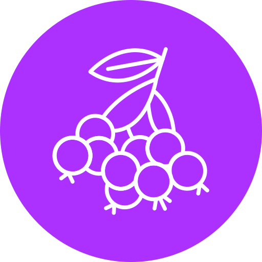 Huckleberry Generic color fill icon