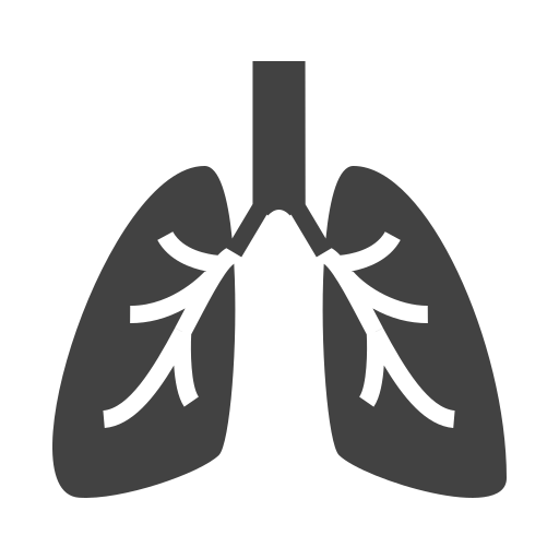 pulmones Generic Others icono