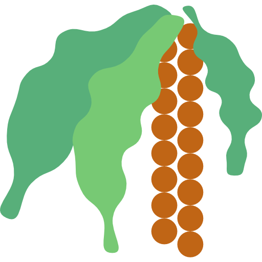 verdura turkkub Flat icona
