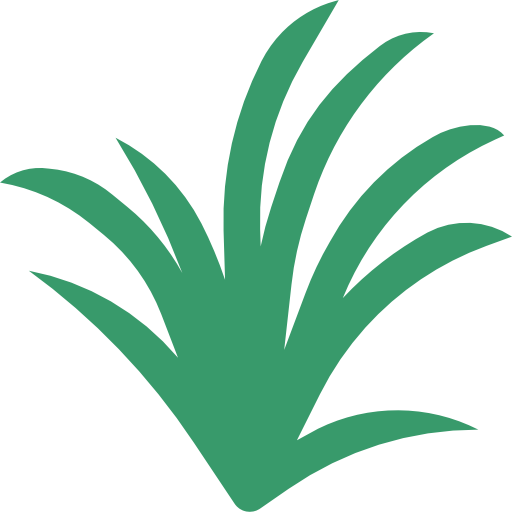 Lemongrass turkkub Flat icon