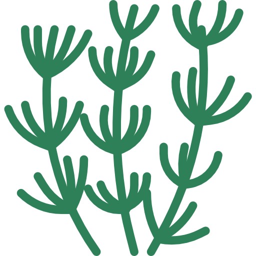 Herb turkkub Flat icon