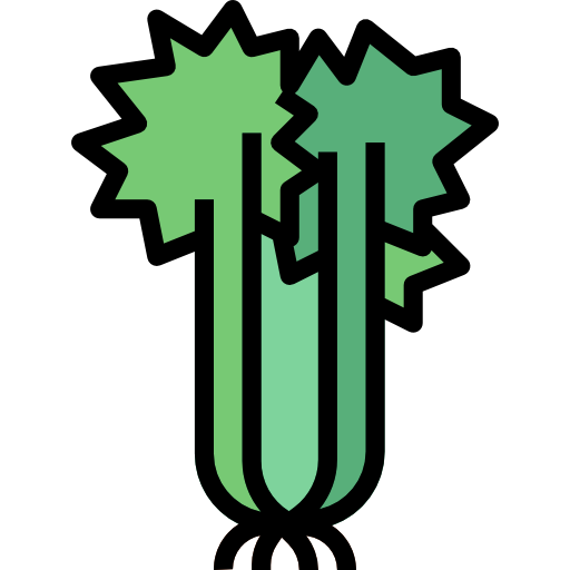 Celery turkkub Lineal Color icon