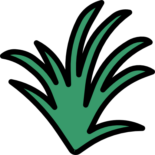 Lemongrass turkkub Lineal Color icon