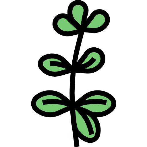 orégano turkkub Lineal Color icono