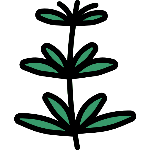 kruid turkkub Lineal Color icoon