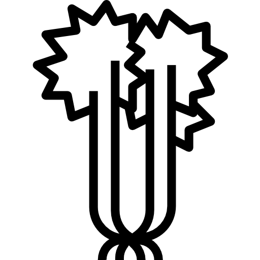 Сельдерей turkkub Lineal иконка