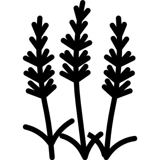 ginkgo turkkub Lineal Icône