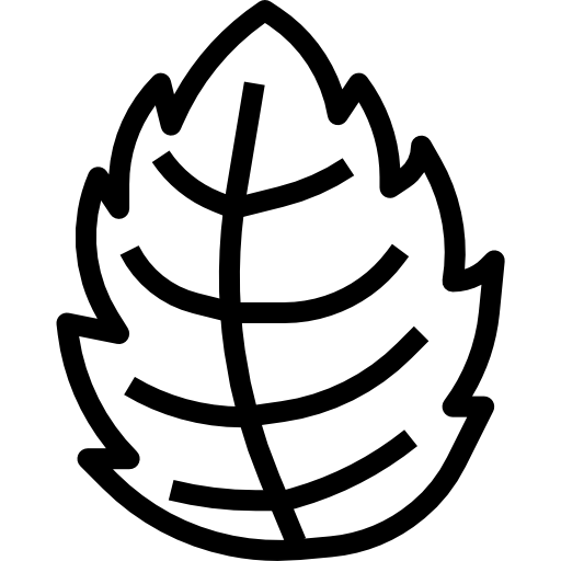 ミント turkkub Lineal icon