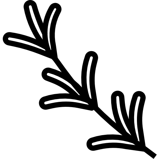 rosmarino turkkub Lineal icona