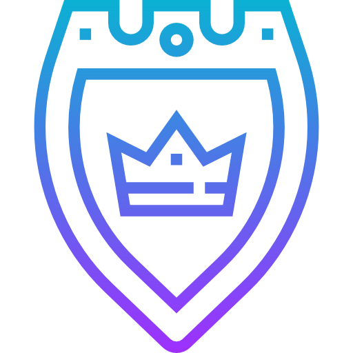 Shield Meticulous Gradient icon
