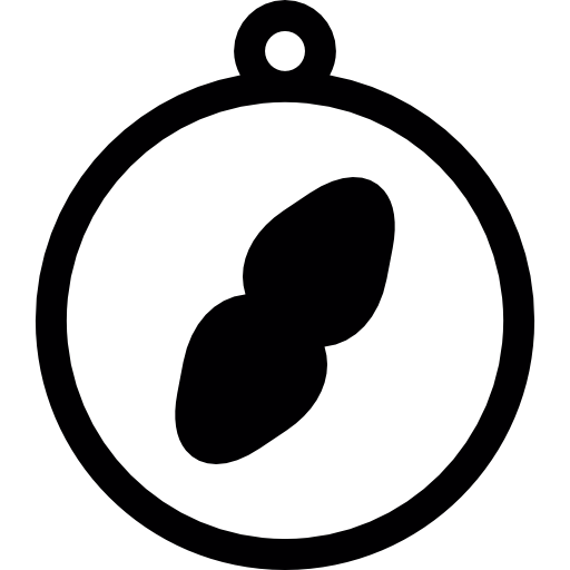 herramienta de orientación de la brújula  icono