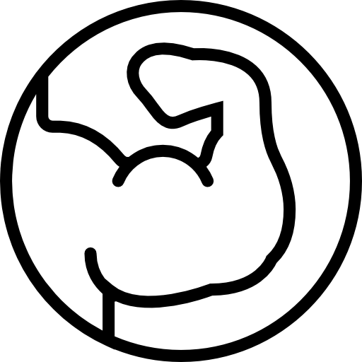 mięsień Basic Miscellany Lineal ikona