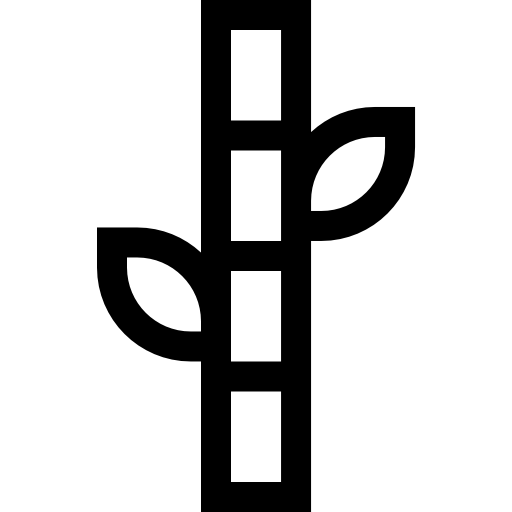 대나무 Basic Straight Lineal icon