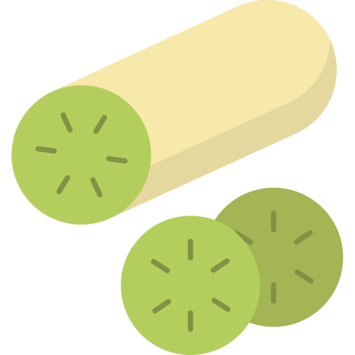 Cucumber slice Generic color fill icon