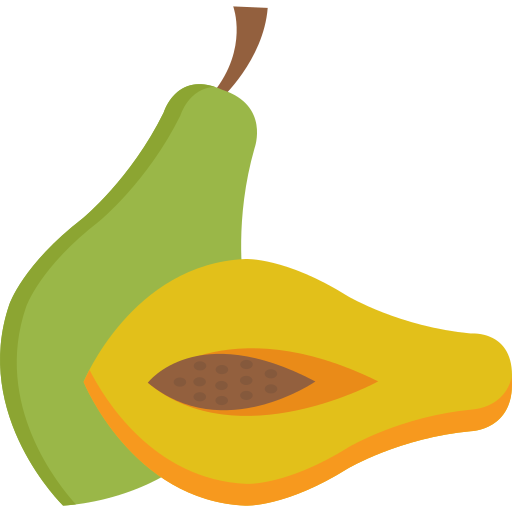 papaye Generic color fill Icône
