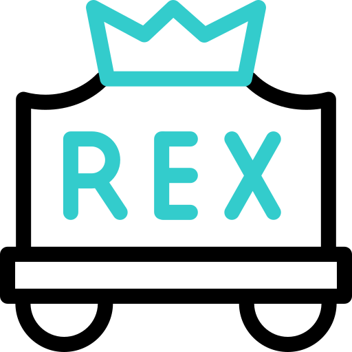 rex Basic Accent Outline icono