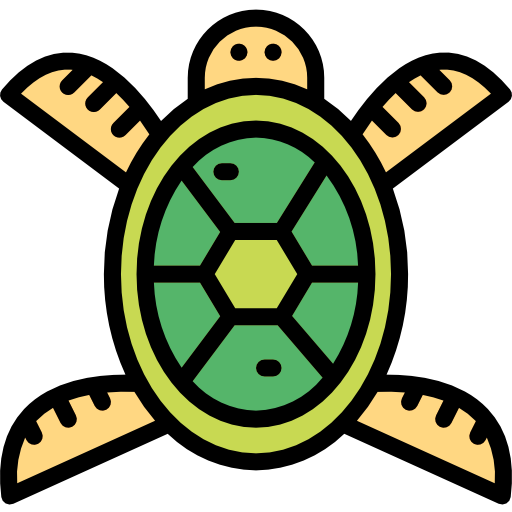 Turtle Smalllikeart Lineal Color icon