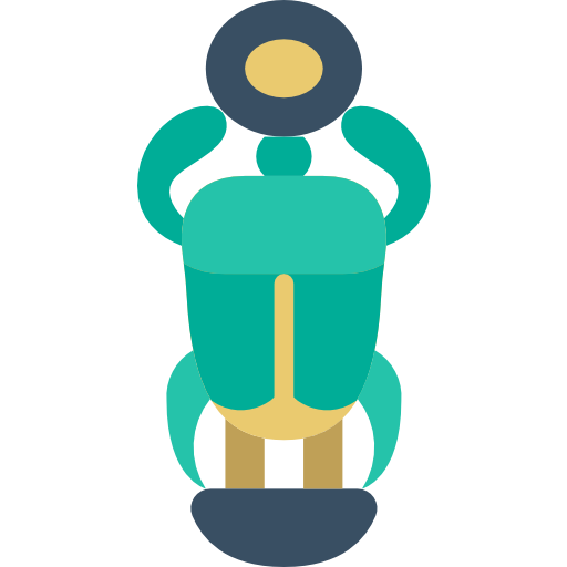 scarabeo Basic Miscellany Flat icona