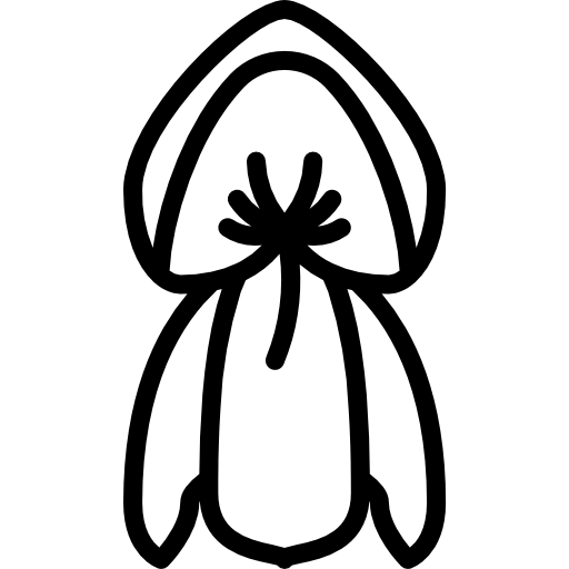 pisello Basic Miscellany Lineal icona