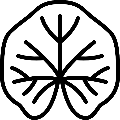 malva Basic Miscellany Lineal icono