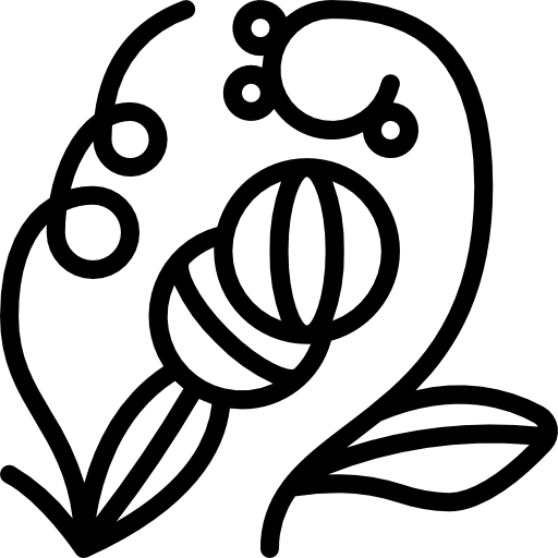 herbario Basic Miscellany Lineal icono