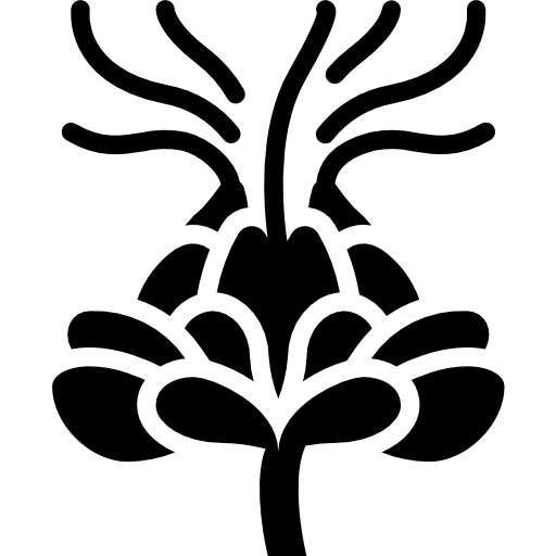 krokosz barwierski Basic Miscellany Fill ikona