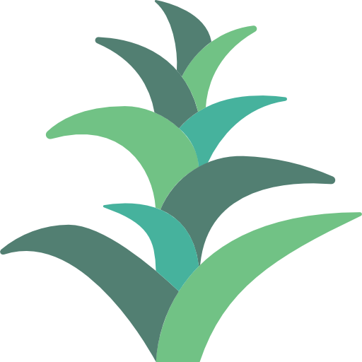 Bromeliaceae Basic Miscellany Flat icon
