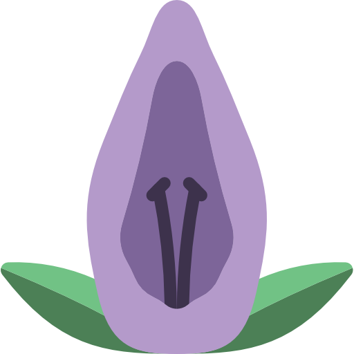 acanthaceae Basic Miscellany Flat ikona
