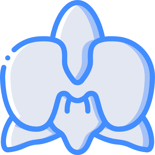 orchidaceae Basic Miscellany Blue icono