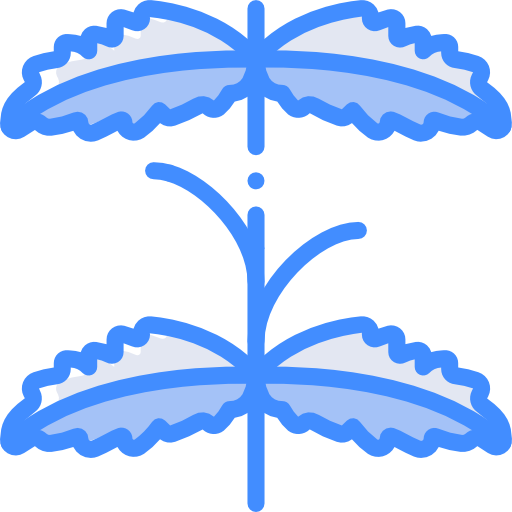 menta Basic Miscellany Blue icona