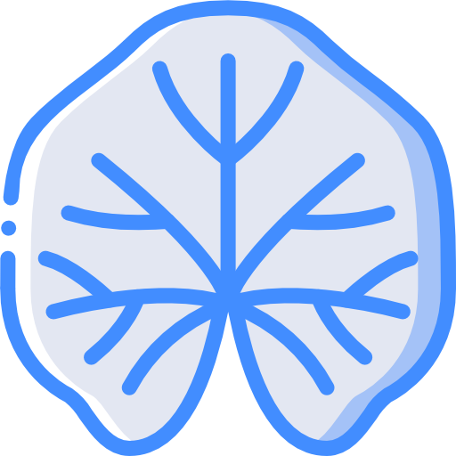 Mallow Basic Miscellany Blue icon