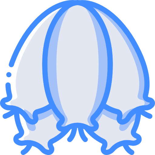 Heath Basic Miscellany Blue icon