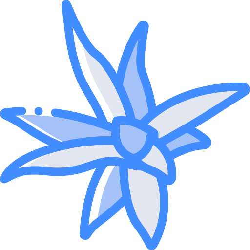 ブロメリア科 Basic Miscellany Blue icon