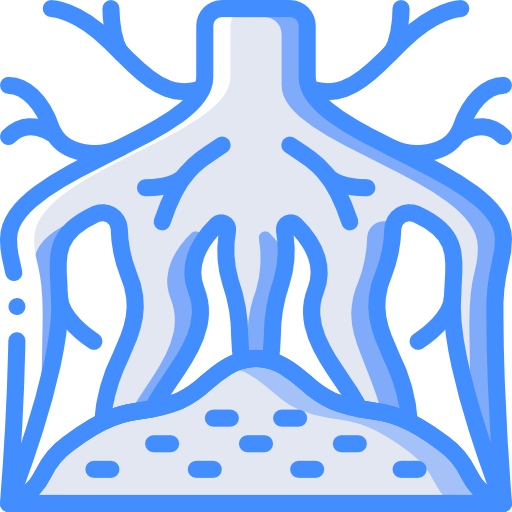 Root Basic Miscellany Blue icon