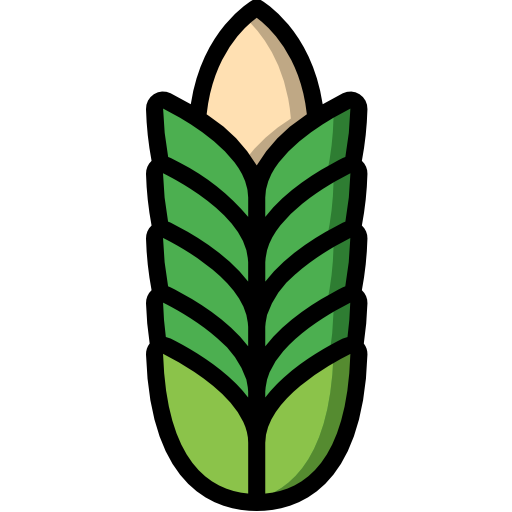 Wheat Basic Miscellany Lineal Color icon