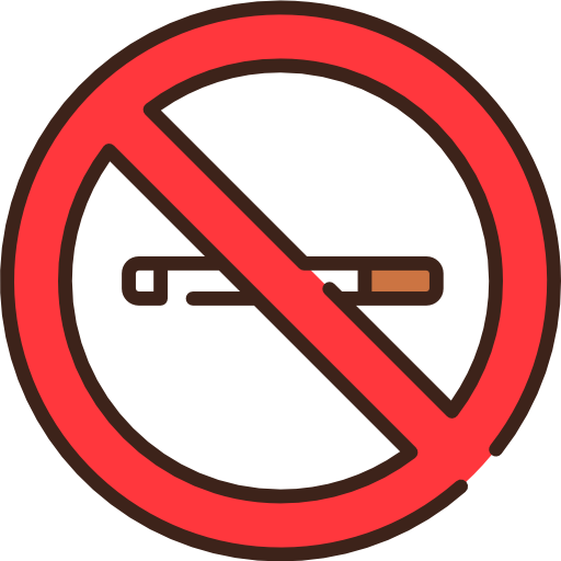 No smoking Good Ware Lineal Color icon
