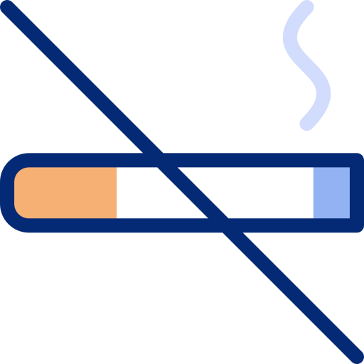 No smoking Basic Accent Lineal Color icon