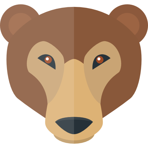 곰  icon