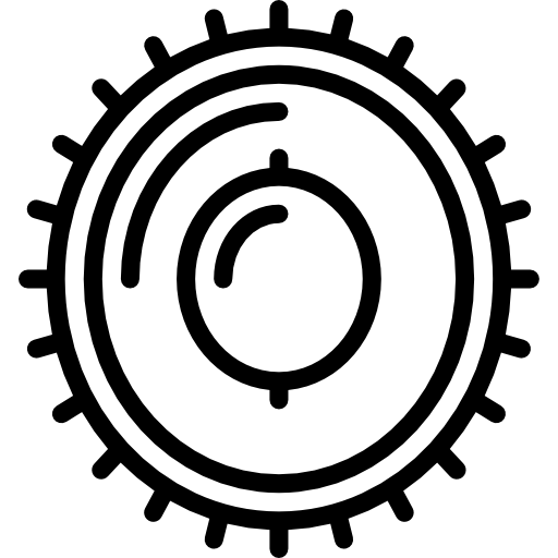 ライチ Basic Miscellany Lineal icon