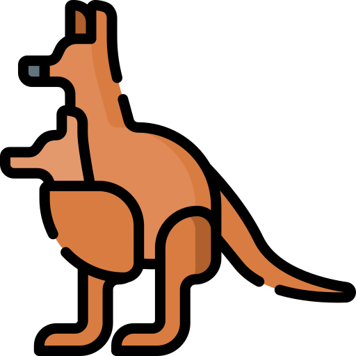 canguro Special Lineal color icono