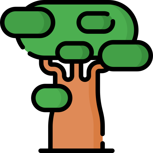 baobab Special Lineal color icon