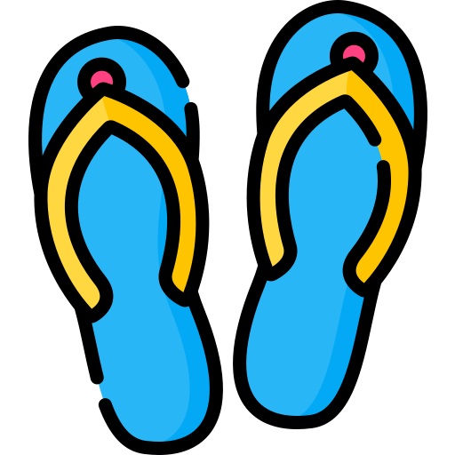 flip flops Special Lineal color icon